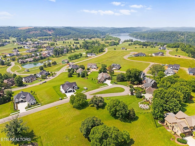 1740 Eagle Point Dr, Loudon, TN 37774 - photo 13