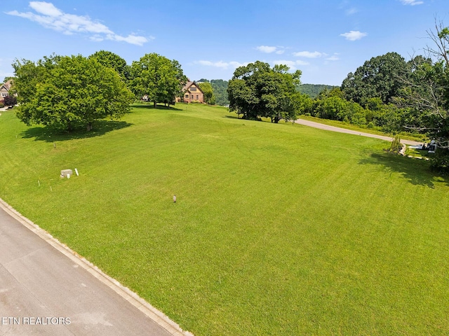 1740 Eagle Point Dr, Loudon, TN 37774 - photo 20
