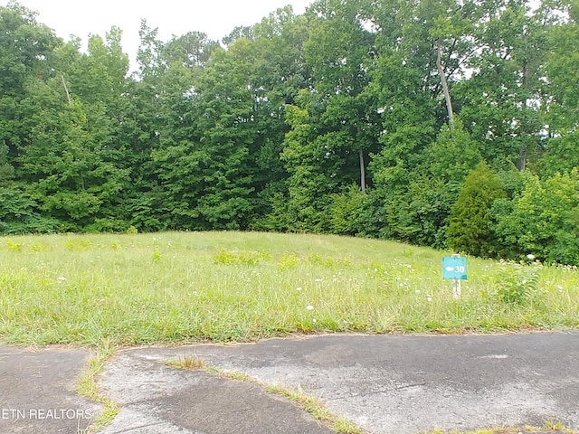 0 Mill Dr, Decatur, TN 37322