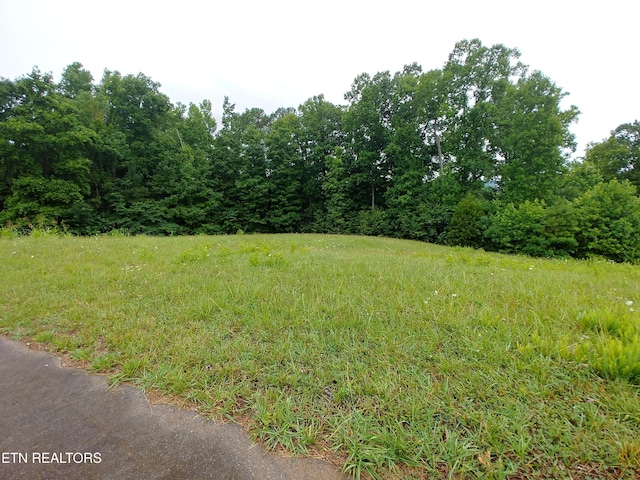 0 Mill Dr, Decatur, TN 37322