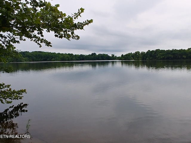 0 Mill Dr, Decatur, TN 37322