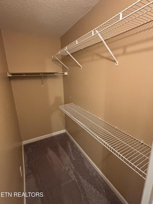 8022 Intervale Way, Powell, TN 37849 - spacious closet with carpet flooring
