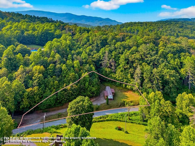4334 Big Creek Rd, Hartford, TN 37753 - view of property location with property parcel outlined and a mountainous background