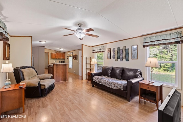 4334 Big Creek Rd, Hartford, TN 37753 - living room with light wood-type flooring, ceiling fan, healthy amount of natural light, lofted ceiling, and crown molding