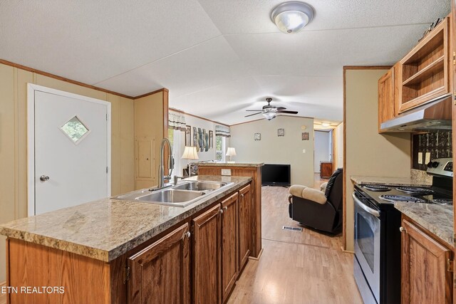 4334 Big Creek Rd, Hartford, TN 37753 - kitchen with electric range, under cabinet range hood, light wood-type flooring, open floor plan, and lofted ceiling