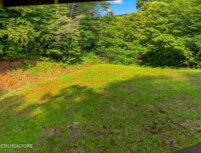 4334 Big Creek Rd, Hartford, TN 37753 - view of yard with a wooded view