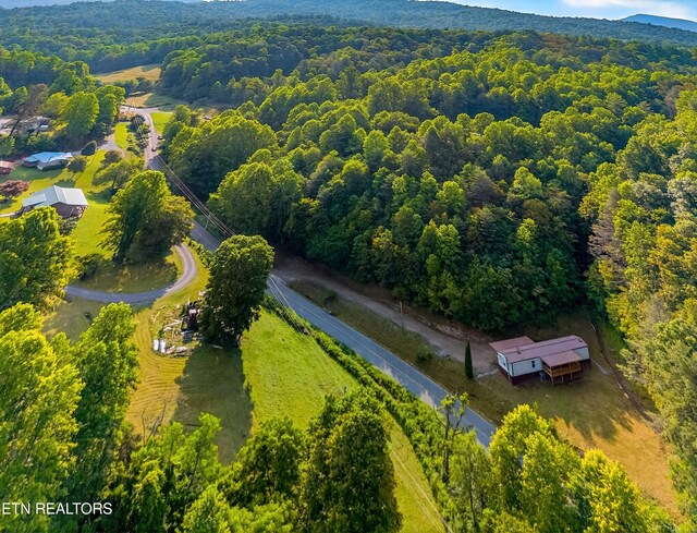 4334 Big Creek Rd, Hartford, TN 37753 - drone / aerial view of a heavily wooded area
