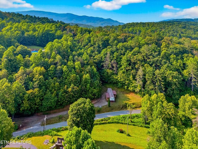 4334 Big Creek Rd, Hartford, TN 37753 - drone / aerial view of a forest and a mountain backdrop