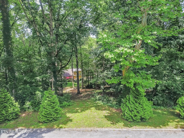12305 Singing Hills Pt, Knoxville, TN 37934
