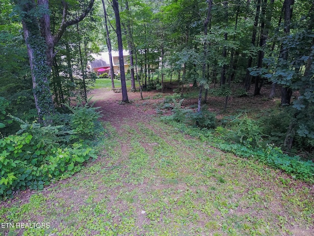 12305 Singing Hills Pt, Knoxville, TN 37934