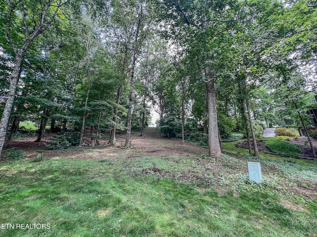 12305 Singing Hills Pt, Knoxville, TN 37934