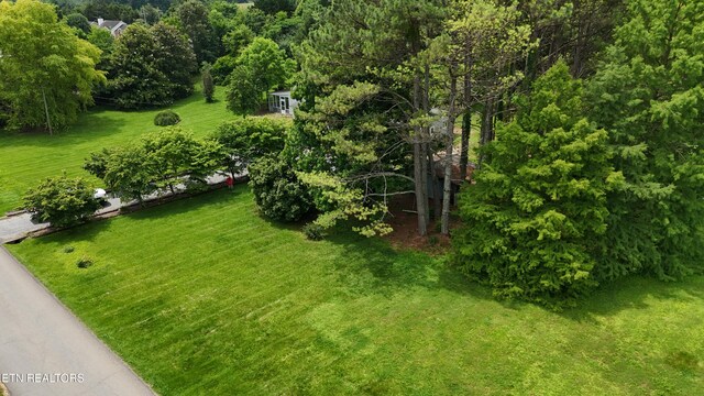 7903 Lett Rd, Corryton, TN 37721 - photo 13