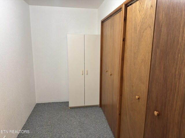7903 Lett Rd, Corryton, TN 37721 - photo 22