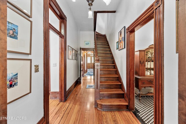 505 E Scott Ave, Knoxville, TN 37917 - photo 24