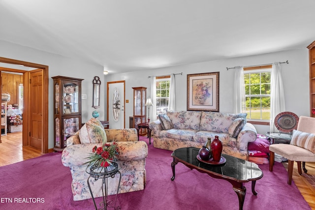 5400 Parkdale Rd, Knoxville, TN 37912 - living room featuring plenty of natural light and wood finished floors