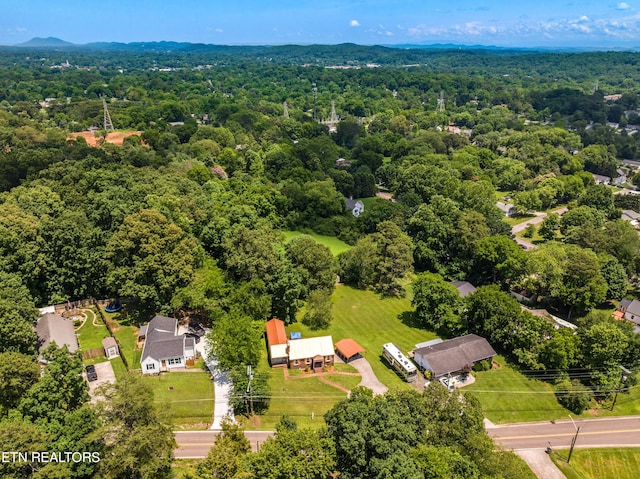 5400 Parkdale Rd, Knoxville, TN 37912 - aerial view of a forest