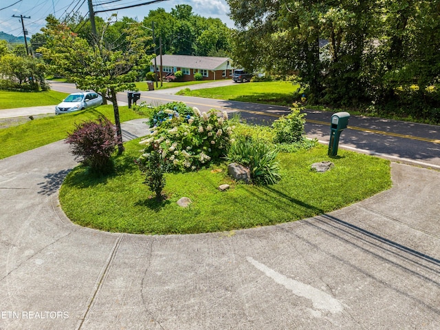 5400 Parkdale Rd, Knoxville, TN 37912 - view of green lawn