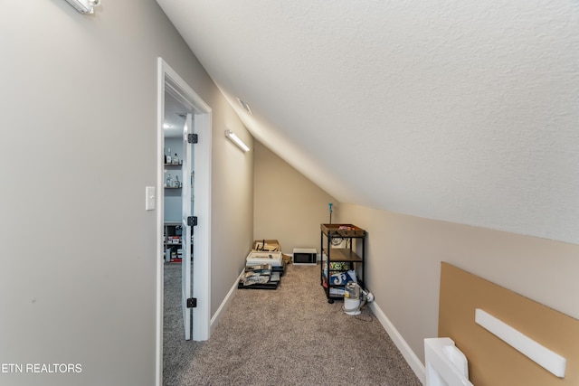 6126 Hollow View Ln, Knoxville, TN 37924 - additional living space with carpet, lofted ceiling, and a textured ceiling