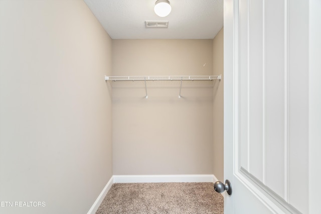 6126 Hollow View Ln, Knoxville, TN 37924 - walk in closet featuring carpet