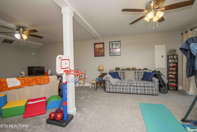 1359 Byrd Cir, Kingston, TN 37763 - playroom with a ceiling fan, electric panel, and carpet flooring