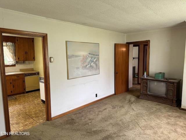 2101 NW Chillicothe St, Knoxville, TN 37921 - unfurnished living room featuring ornamental molding, a textured ceiling, and carpet flooring
