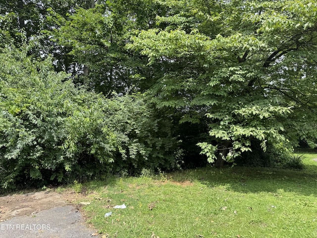 2101 NW Chillicothe St, Knoxville, TN 37921 - view of local wilderness