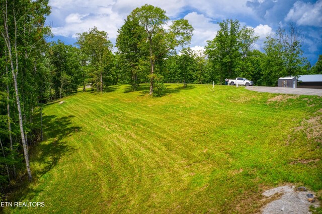 760 Rockview Rd, Jamestown, TN 38556 - view of yard