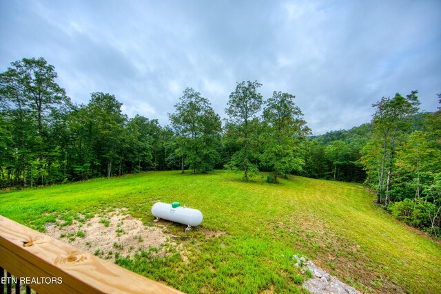 760 Rockview Rd, Jamestown, TN 38556 - view of green lawn featuring a view of trees