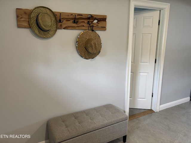 2501 Stone Rd, Blaine, TN 37709 - photo 17