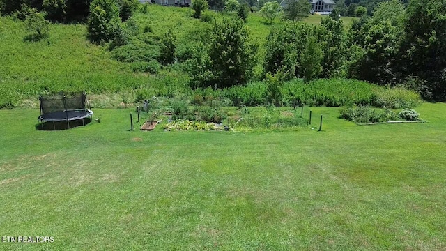2501 Stone Rd, Blaine, TN 37709 - photo 50