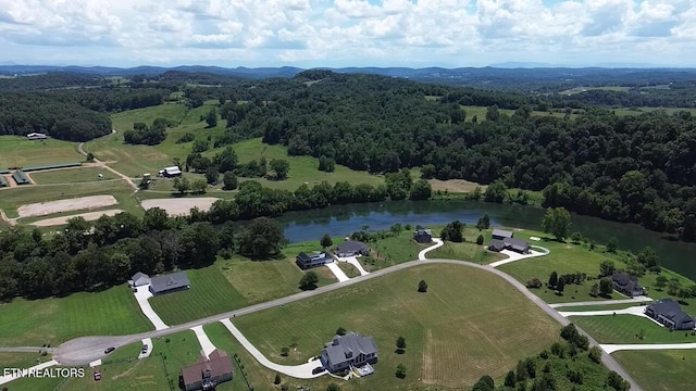 2501 Stone Rd, Blaine, TN 37709 - photo 54