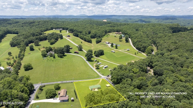 435 Stump Hollow Rd, Spring City, TN 37381 - photo 36