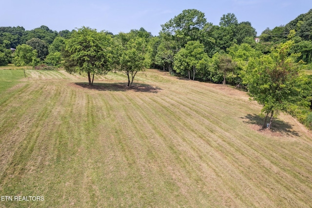 121 N Shiloh Rd, Seymour, TN 37865