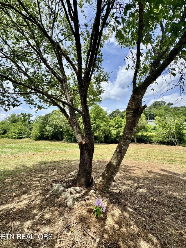 121 N Shiloh Rd, Seymour, TN 37865