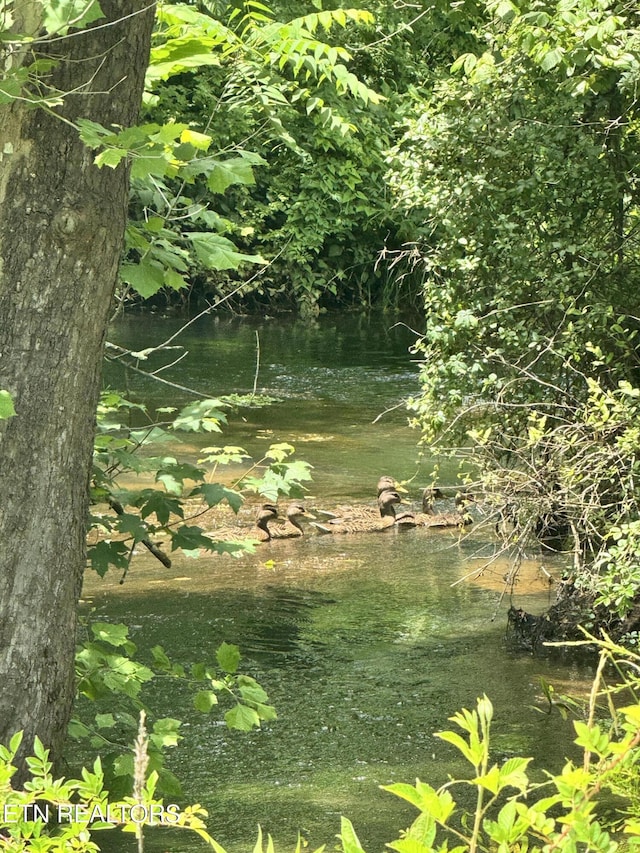 121 N Shiloh Rd, Seymour, TN 37865