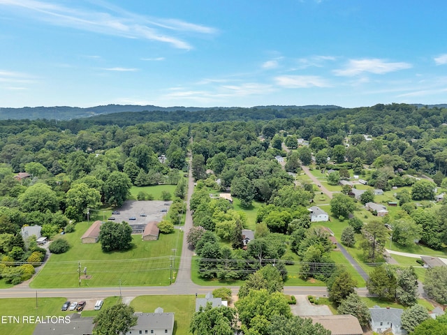 1100 Cedar Ln, Knoxville, TN 37912 - bird's eye view of a heavily wooded area