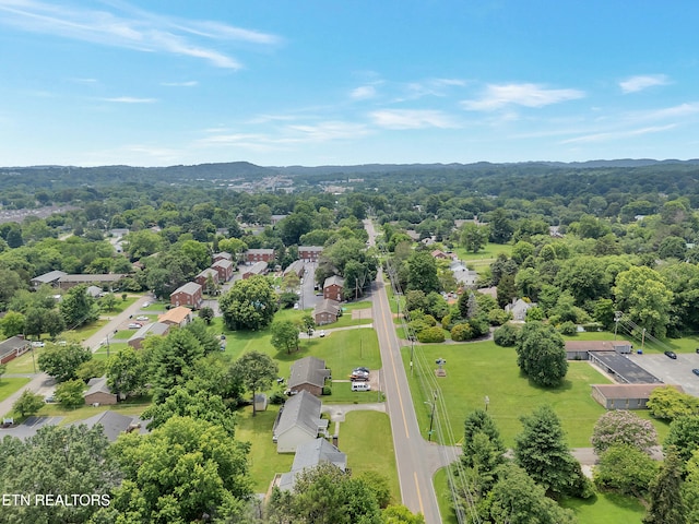 1100 Cedar Ln, Knoxville, TN 37912 - aerial view of residential area
