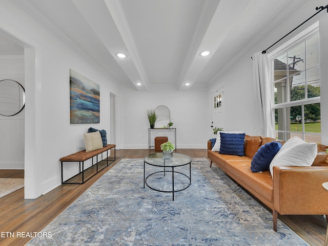 1100 Cedar Ln, Knoxville, TN 37912 - living room featuring wood finished floors, ornamental molding, and recessed lighting