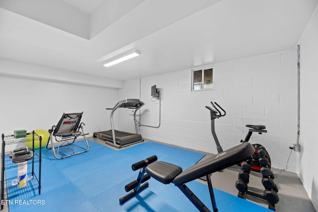 1292 Deer Lodge Hwy, Sunbright, TN 37872 - workout area with concrete block wall