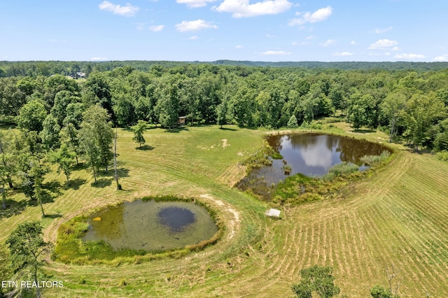1292 Deer Lodge Hwy, Sunbright, TN 37872 - drone / aerial view of a nearby body of water and a forest