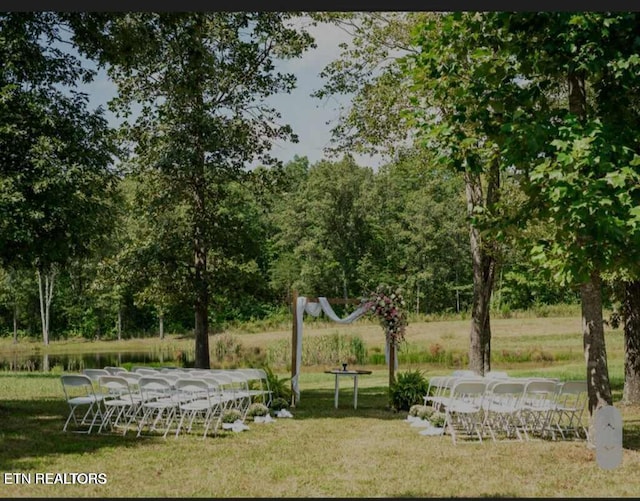 1292 Deer Lodge Hwy, Sunbright, TN 37872 - view of property's community featuring a lawn