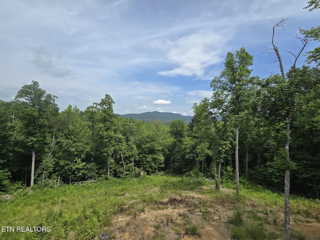 669 Crooked Branch Pvt Rd, Huntsville, TN 37756 - view of mountain backdrop featuring a heavily wooded area