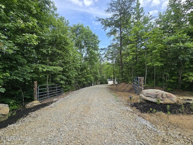 669 Crooked Branch Pvt Rd, Huntsville, TN 37756 - view of dirt / gravel road featuring a view of trees