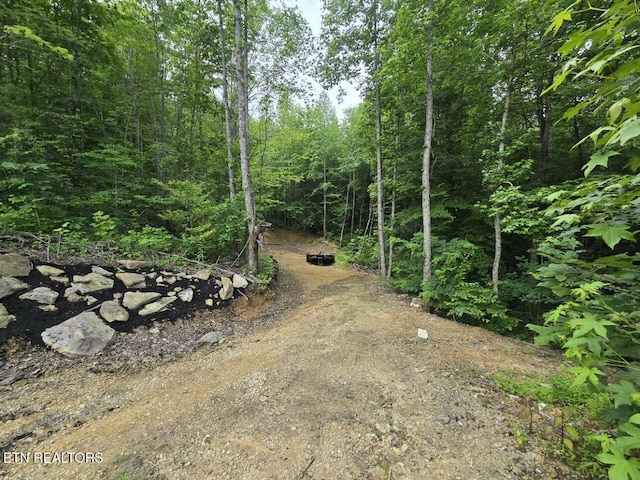 669 Crooked Branch Pvt Rd, Huntsville, TN 37756 - view of yard featuring a wooded view