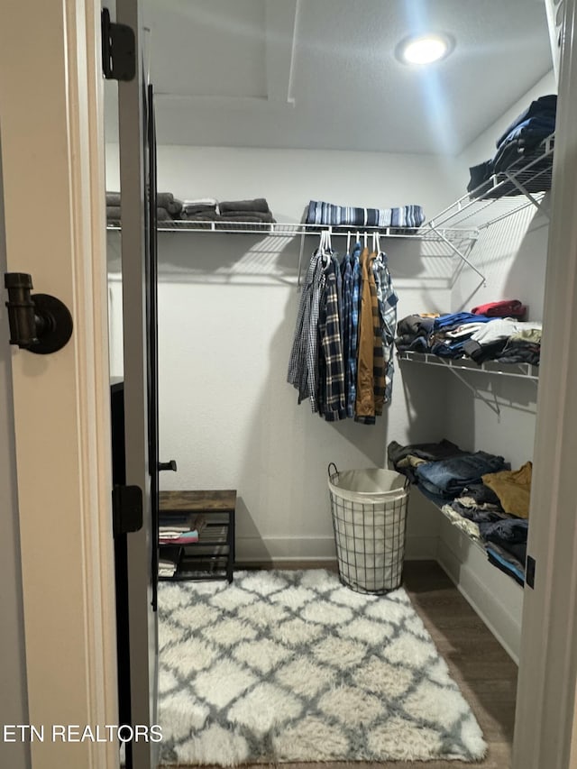 669 Crooked Branch Pvt Rd, Huntsville, TN 37756 - walk in closet with wood finished floors