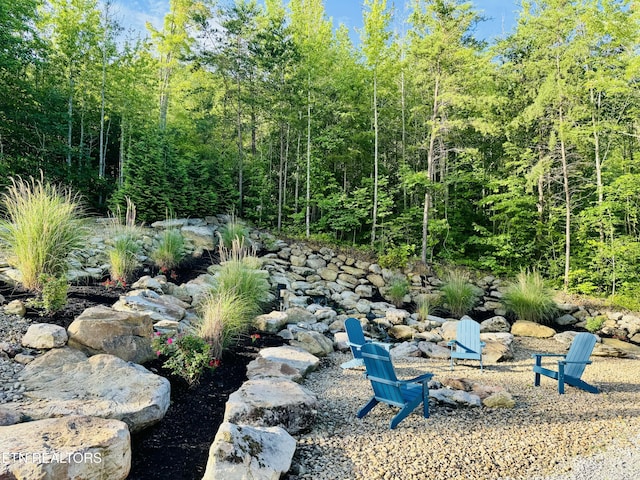 669 Crooked Branch Pvt Rd, Huntsville, TN 37756 - view of yard