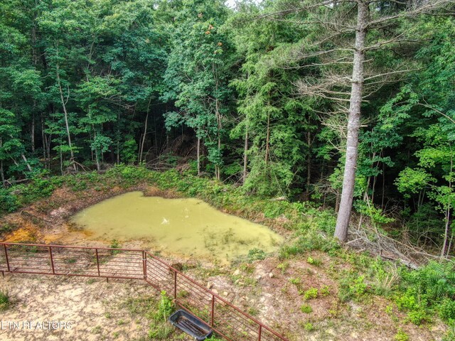 107 Walking Horse Dr, Jamestown, TN 38556 - photo 19