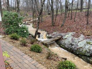 152 Stonewood Dr, Crossville, TN 38558 - photo 8