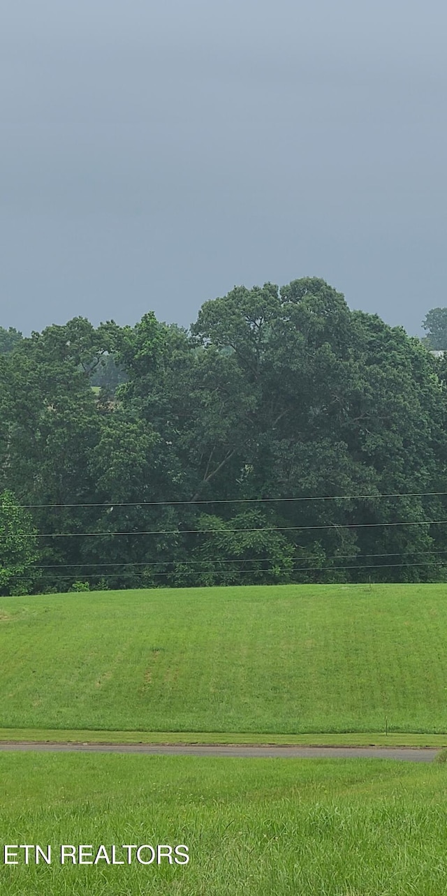 211 Washita Ln, Rutledge, TN 37861
