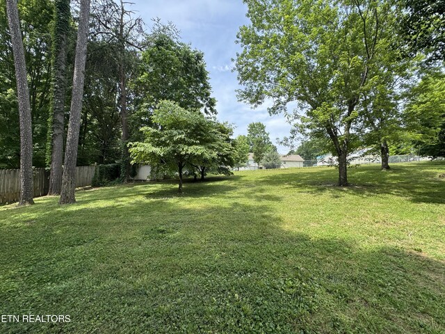 603 Water Oak Dr, Seymour, TN 37865 - photo 9